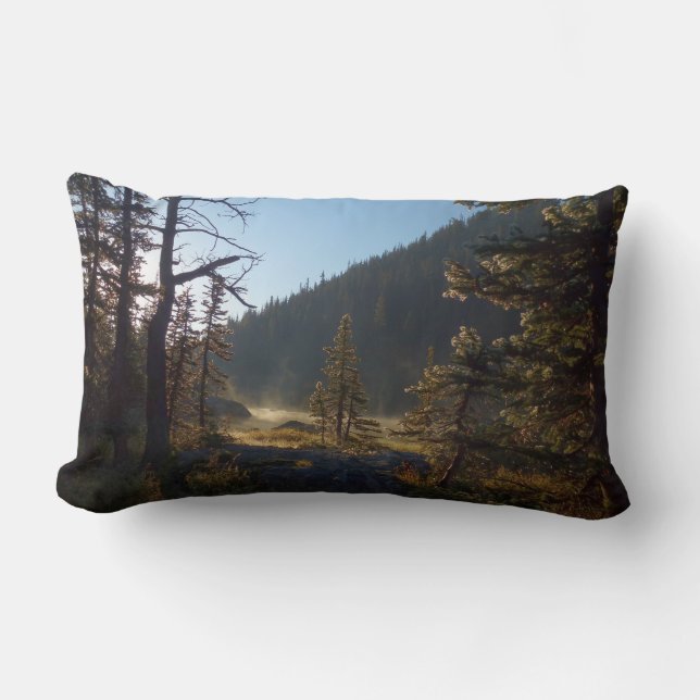 Sunlit Frosted Pine Trees at Dream Lake Lumbar Pillow (Front)