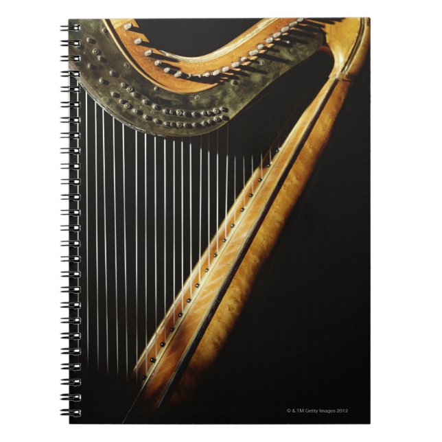 Sunlit Harp Notebook (Front)