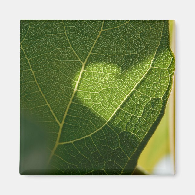 Sunlit Leaf Heart Magnet (Front)