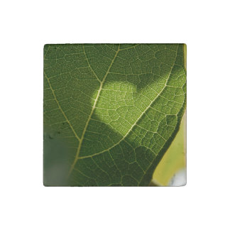 Sunlit Leaf Heart Stone Magnet