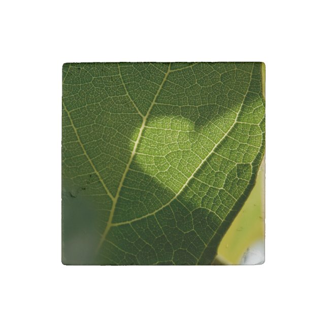 Sunlit Leaf Heart Stone Magnet (Front)