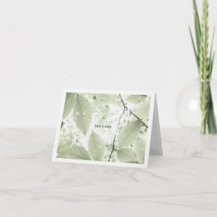 Sunlit leaves in New Hampshire (horizontal) Thank You Card
