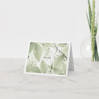 Sunlit leaves in New Hampshire (horizontal) Thank You Card