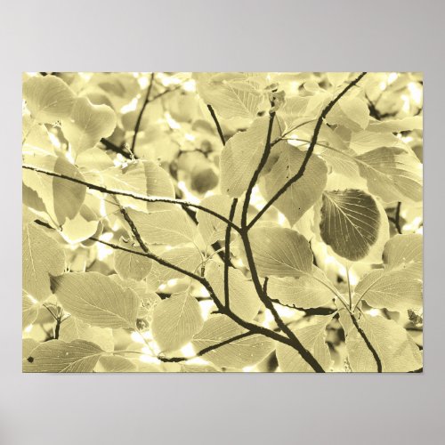 Sunlit Leaves Poster