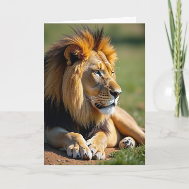 Sunlit Lion Fathers Day Card (Front)