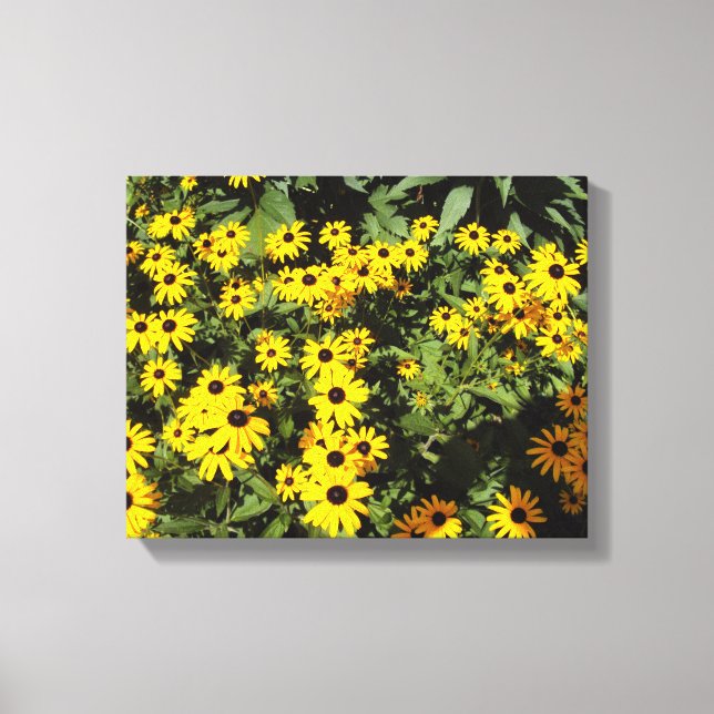 Sunlit Meadow Canvas Print (Front)