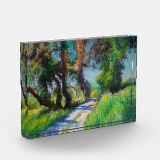 Sunlit Olive Grove Pastel Landscape Photo Block