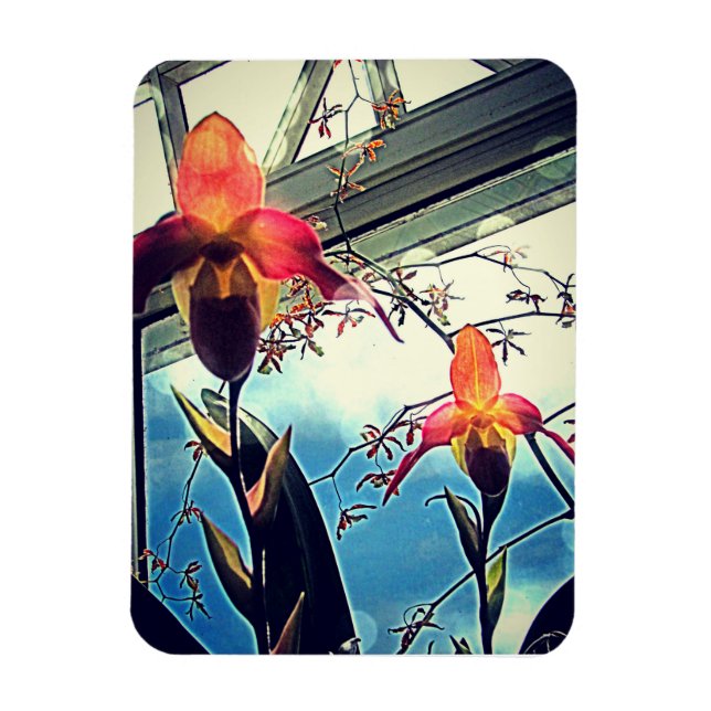 Sunlit Orchids Flexi Photo Magnet (Vertical)