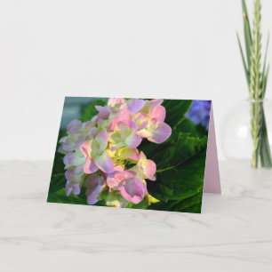 Sunlit Pink Hydrangea Sympathy Card
