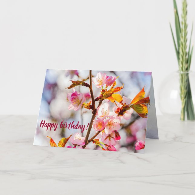 Sunlit Pink Sakura Flowers. Cherry Blossoms Card (Front)