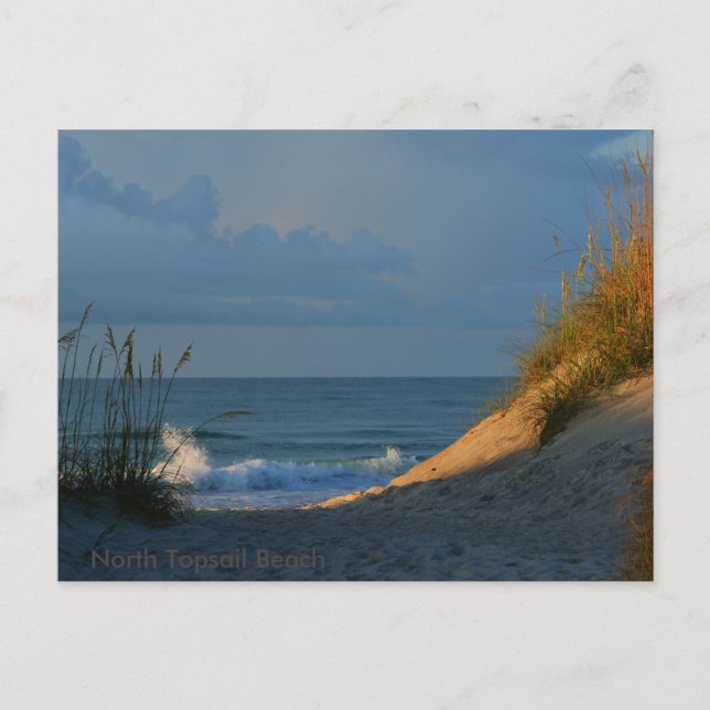 'Sunlit' Postcard (Front)