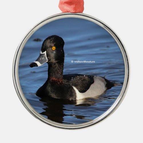 Sunlit Profile of a Ring_Necked Duck Metal Ornament