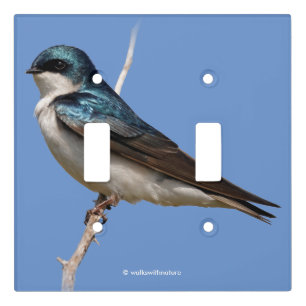 Sunlit Profile of a Tree Swallow Songbird Light Switch Cover