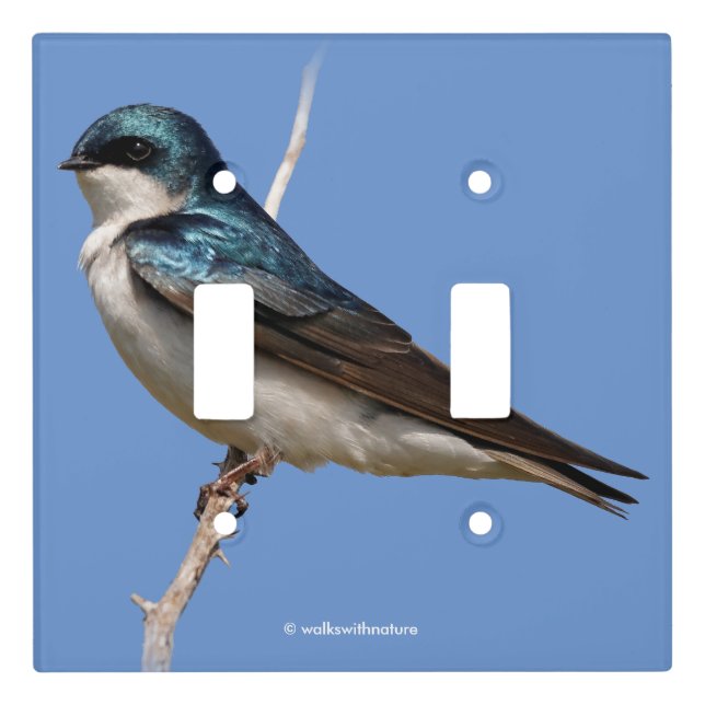 Sunlit Profile of a Tree Swallow Songbird Light Switch Cover (Front)