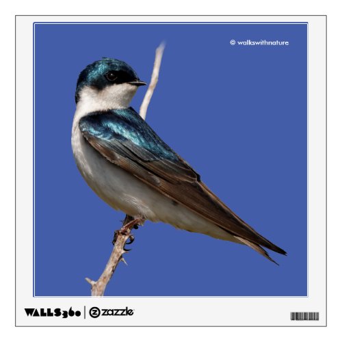 Sunlit Profile of a Tree Swallow Songbird Wall Sticker