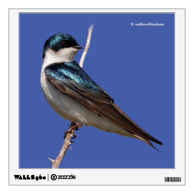 Sunlit Profile of a Tree Swallow Songbird Wall Sticker (Front)