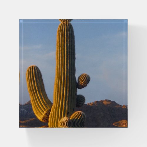 Sunlit Saguaro Cactus Paperweight