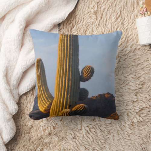 Sunlit Saguaro Cactus _ Pillow