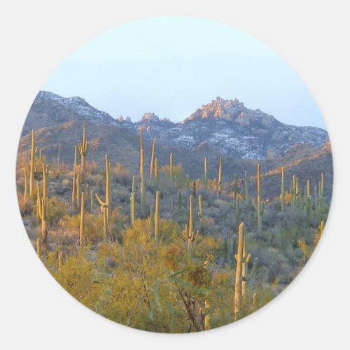 Sunlit Saguaro Field Classic Round Sticker