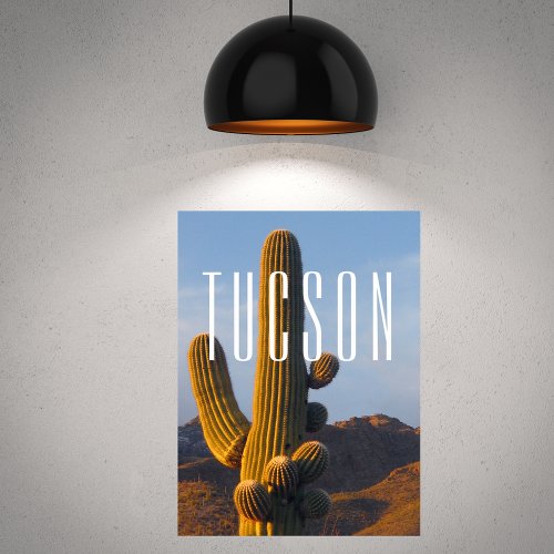 Sunlit Saguaro Tucson Scene Poster