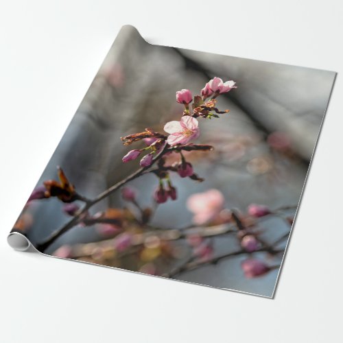 Sunlit Sakura Flowers Against The Cloudy Sky Wrapping Paper