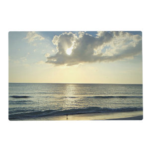 Sunlit Shoreline Calm Placemat