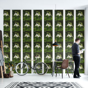 Sunlit Snowdrops Wallpaper