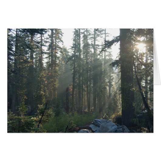 Sunlit Solitude Cards (Front Horizontal)