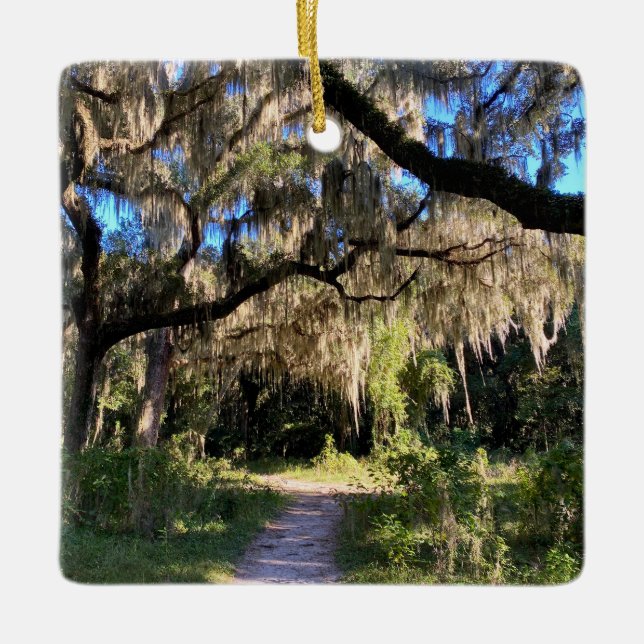 Sunlit Spanish Moss Ceramic Ornament (Front)