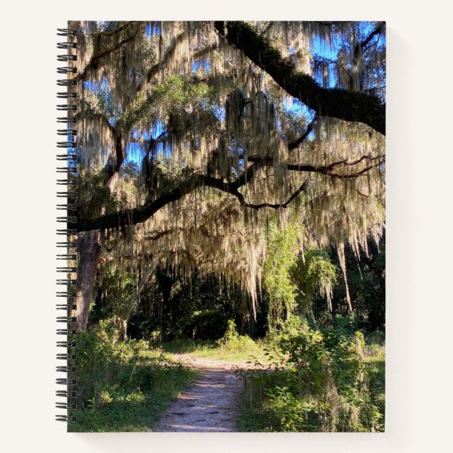 Sunlit Spanish Moss Notebook (Front)