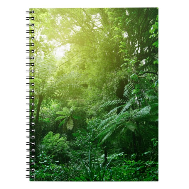 Sunlit tree canopy in tropical jungle  notebook (Front)