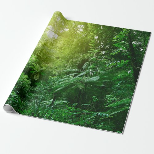 Sunlit tree canopy in tropical jungle  wrapping paper