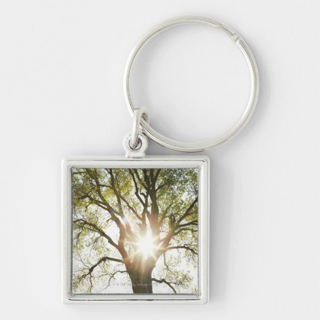 Sunlit Tree Keychain (Front)