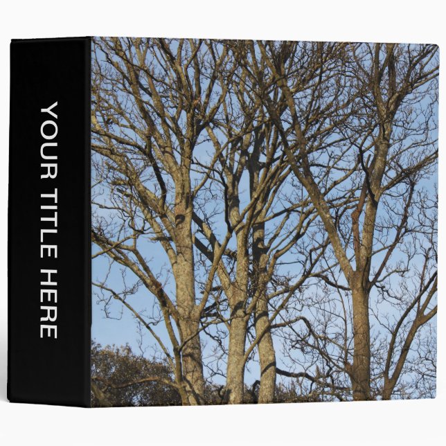 Sunlit Trees in Early Spring (2in) Binder (Front/Spine)