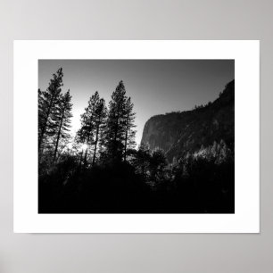 Sunlit Trees Yosemite Black and White Photography Poster