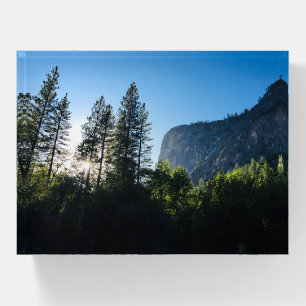 Sunlit Trees Yosemite Color Photography Paperweight