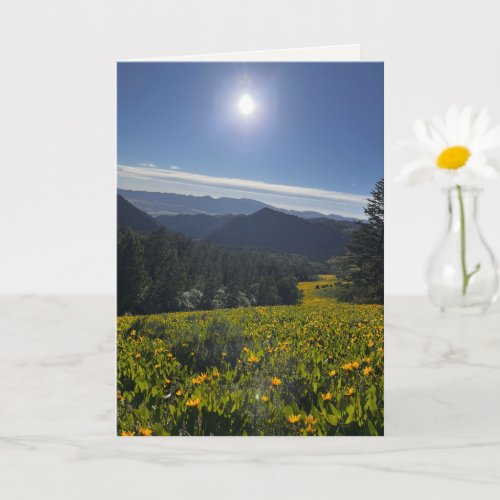 Sunlit Valley Card