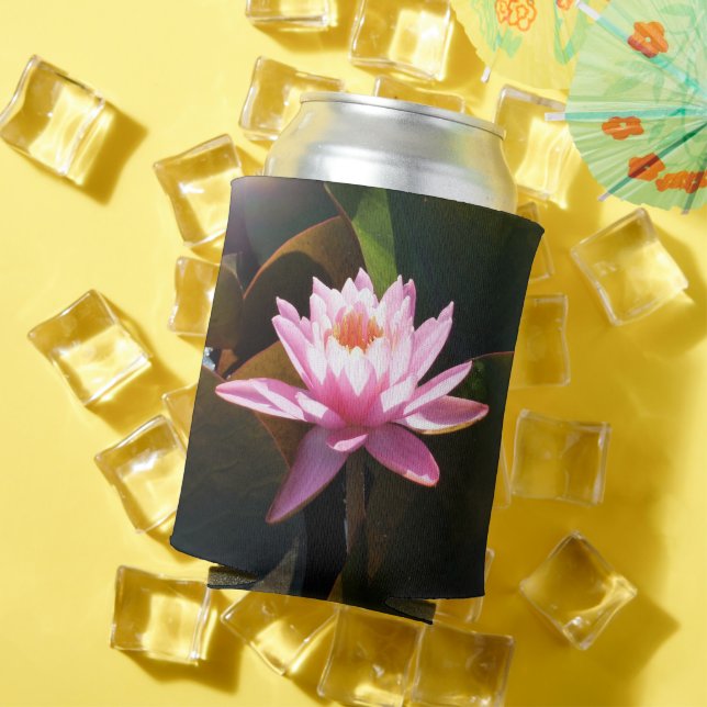 Sunlit Waterlily Pink Floral Water Garden Can Cooler (In Situ Summer)