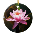 Sunlit Waterlily Pink Floral Water Garden Ceramic Ornament