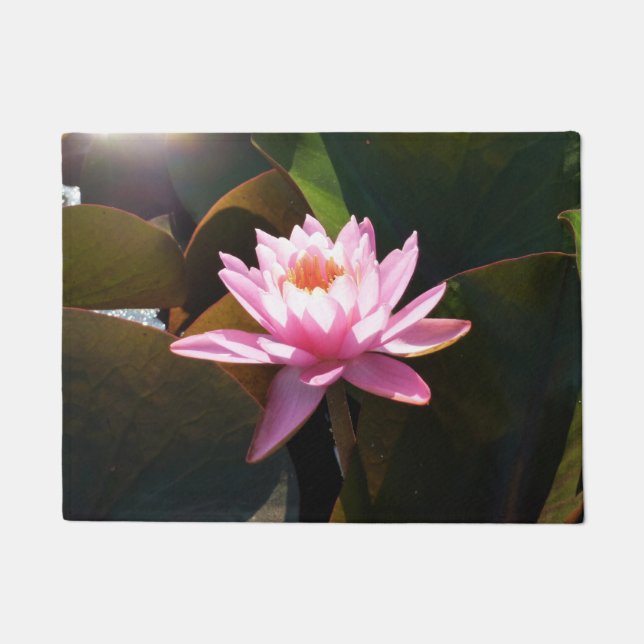 Sunlit Waterlily Pink Floral Water Garden Doormat (Front)