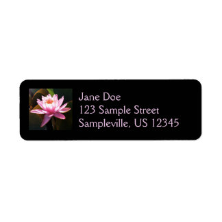 Sunlit Waterlily Pink Floral Water Garden Label
