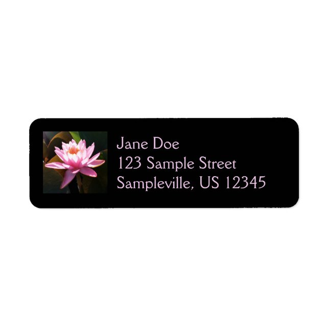 Sunlit Waterlily Pink Floral Water Garden Label (Front)