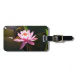 Sunlit Waterlily Pink Floral Water Garden Luggage Tag