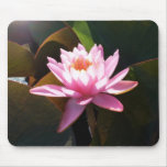 Sunlit Waterlily Pink Floral Water Garden Mouse Pad