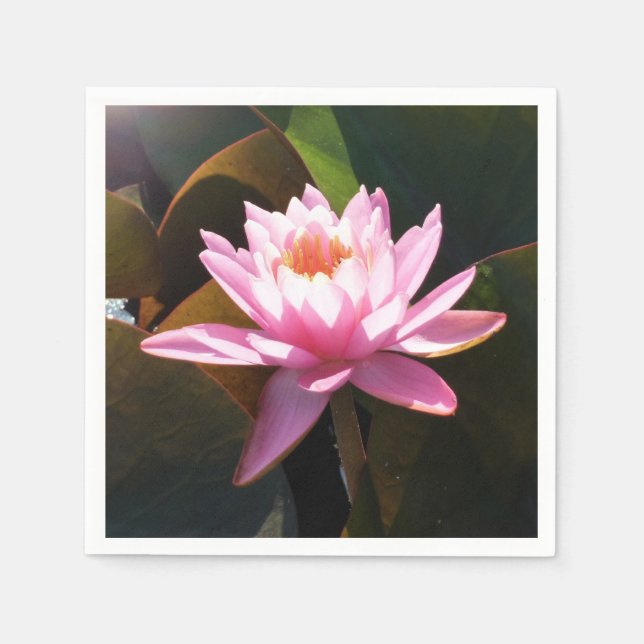 Sunlit Waterlily Pink Floral Water Garden Napkins (Front)