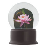 Sunlit Waterlily Pink Floral Water Garden Snow Globe