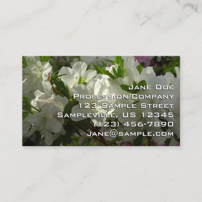 Sunlit White Azaleas Beautiful Spring Flowers Business Card (Front)