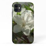 Sunlit White Azaleas Beautiful Spring Flowers iPhone 11 Case