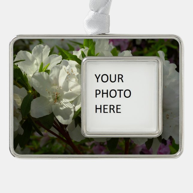 Sunlit White Azaleas Beautiful Spring Flowers Christmas Ornament (Front)