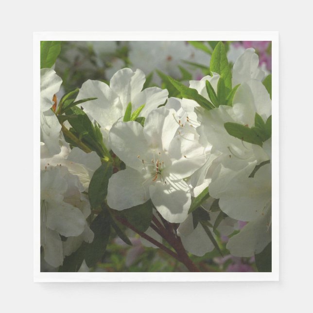 Sunlit White Azaleas Beautiful Spring Flowers Napkins (Front)
